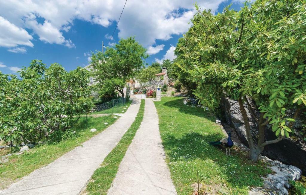 Villa Vrelo Gruda エクステリア 写真